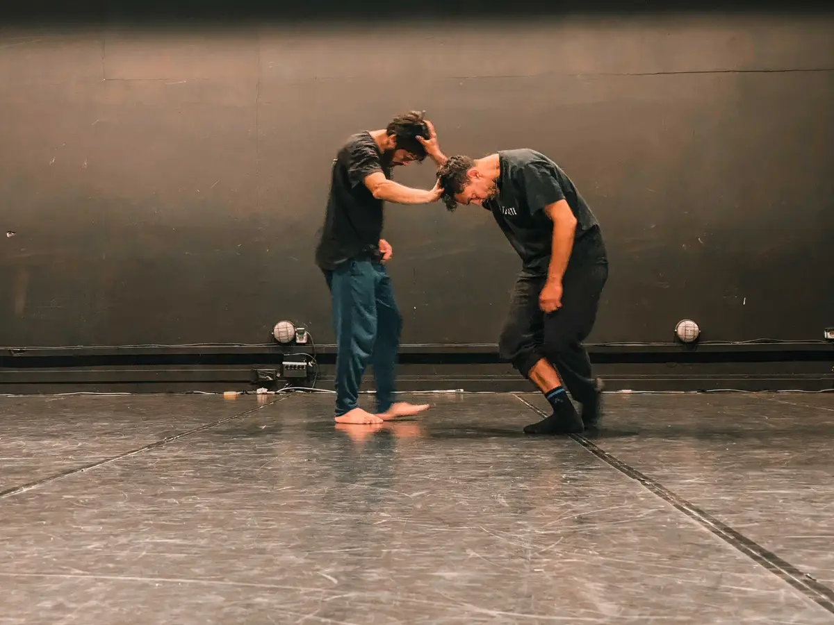 Segnali di Risonanza - Les signaux de résonance