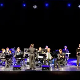 Accordéons sous les tilleuls