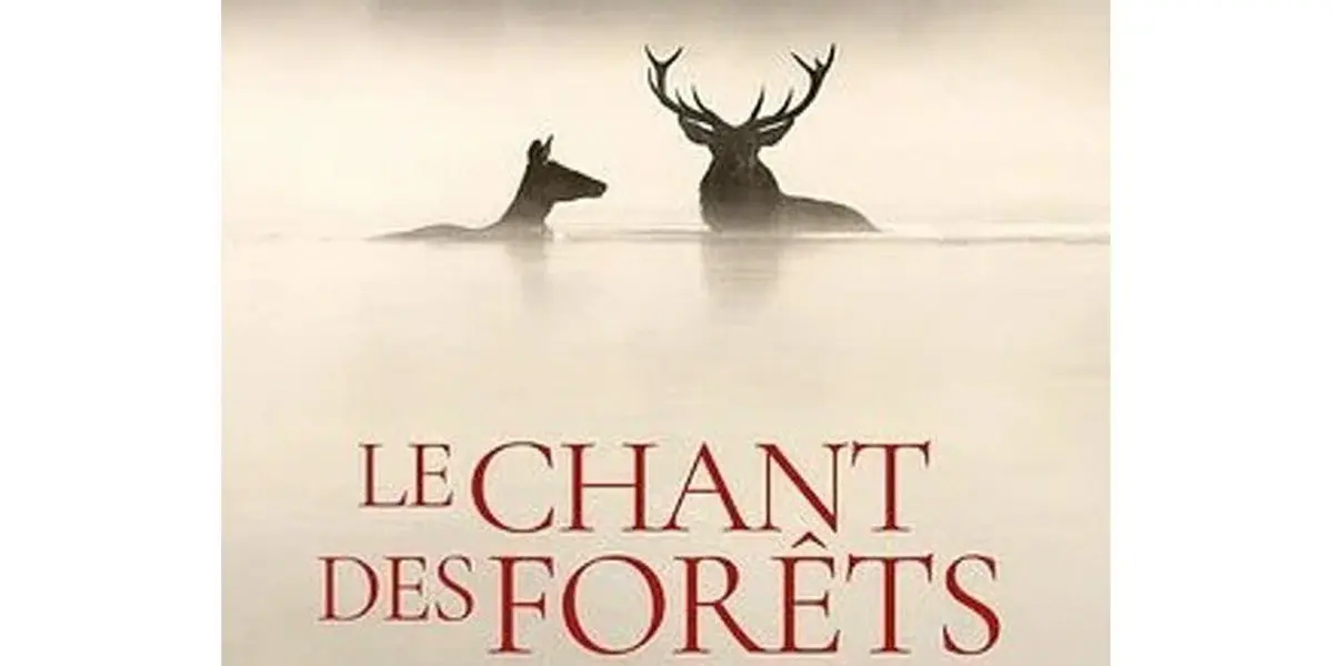 [Cinéma] Ciné Café : Le chant des forêts