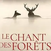 [Cinéma] Ciné Café : Le chant des forêts