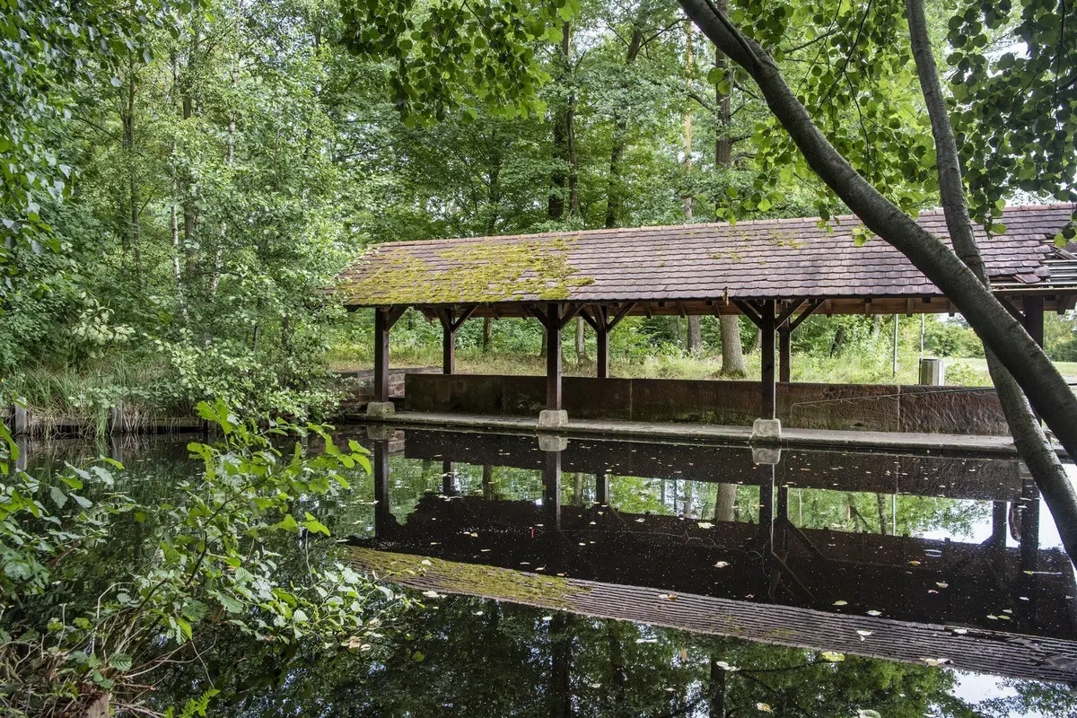 Les ressources ancestrales de la forêt de Haguenau