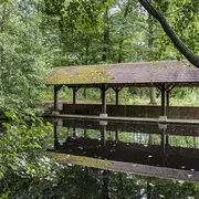 Les ressources ancestrales de la forêt de Haguenau