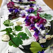 Stage Eco-print & Broderie 