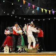 La balade irlandaise des cigognes de Strasbourg