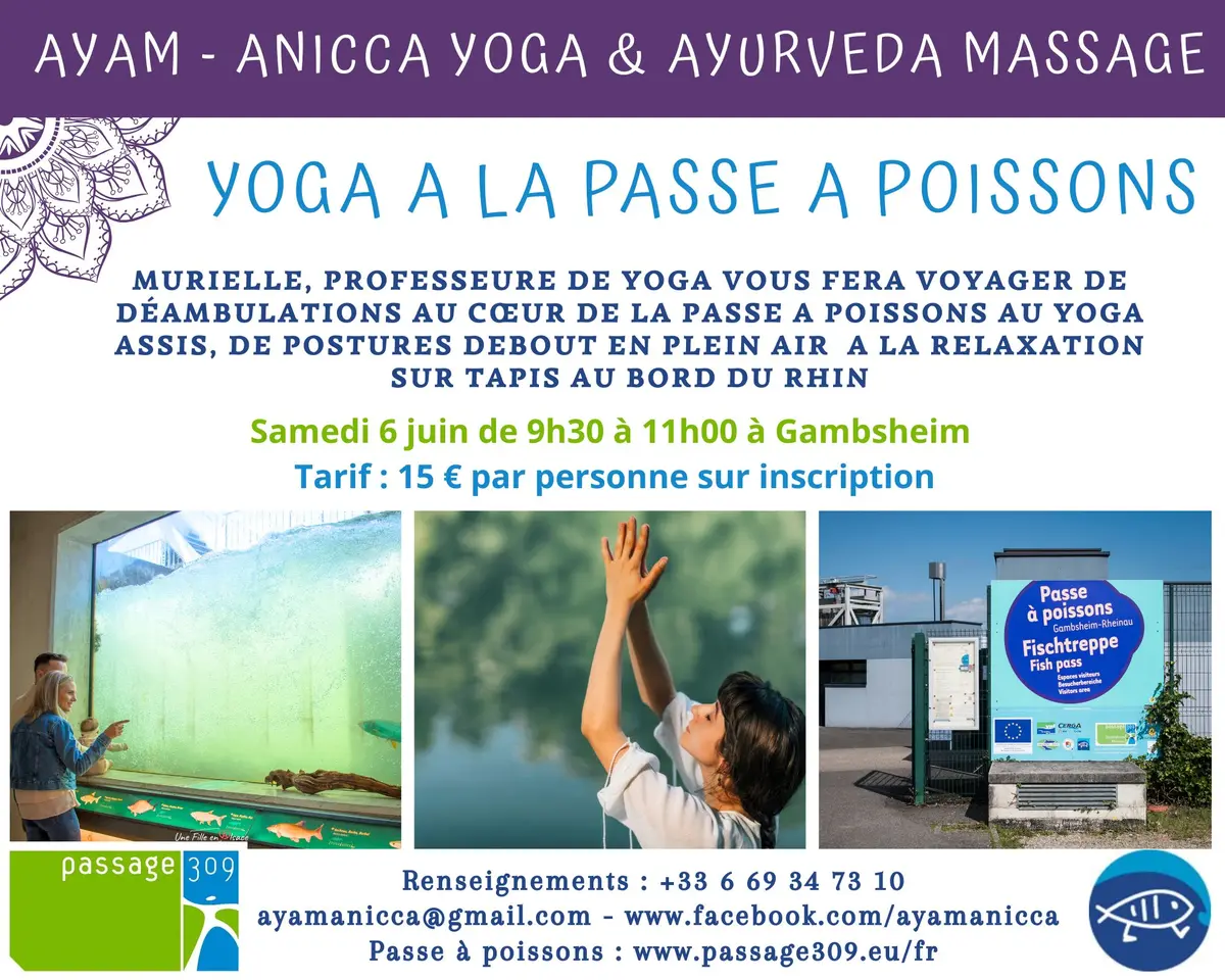 Yoga à la Passe à Poissons