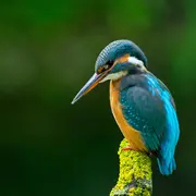 ZERO CARBONE exposition Photo Du GRAPh