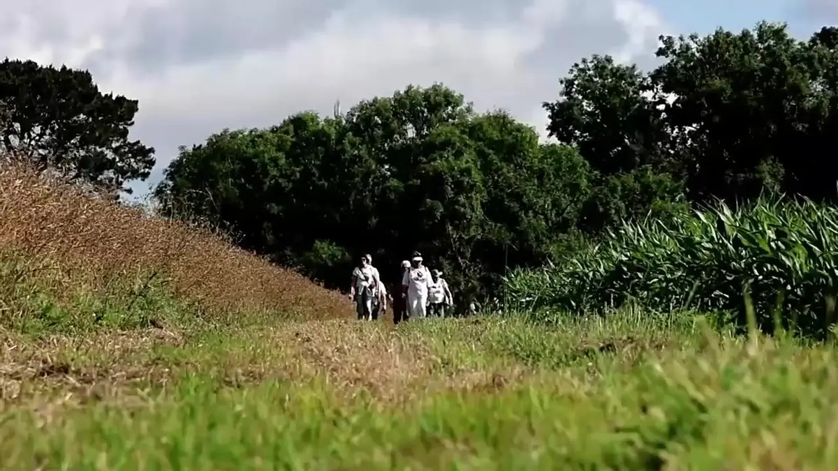 La rando des bois &ndash; Sur les traces de Saint-Ronan