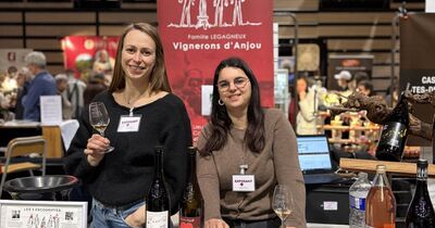 Titre : Salon Vitisaveurs : Vins & Gastronomie