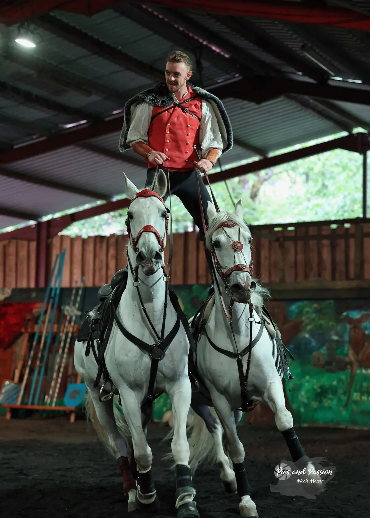 Haut-Royaume : la guerre des clans, conte équestre médiéval