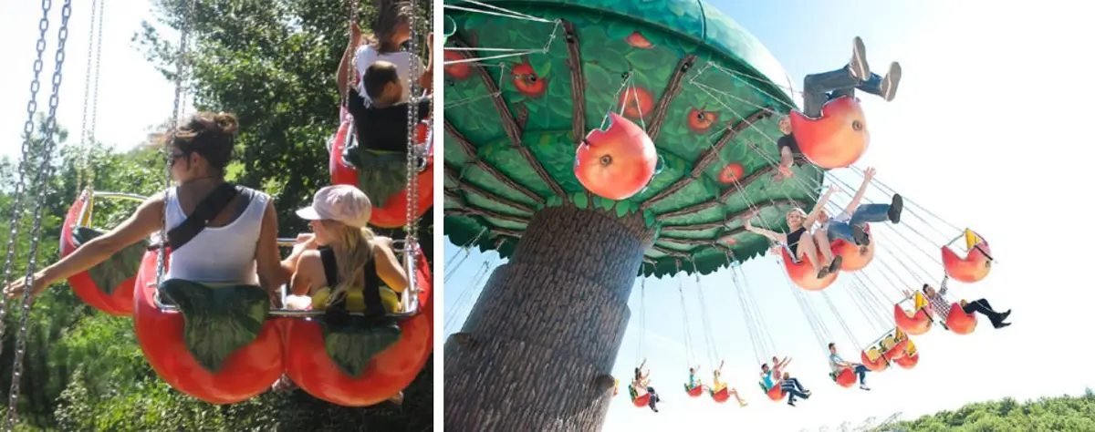 La nouveauté 2025 : Le Pommier / Les Chaises Volantes