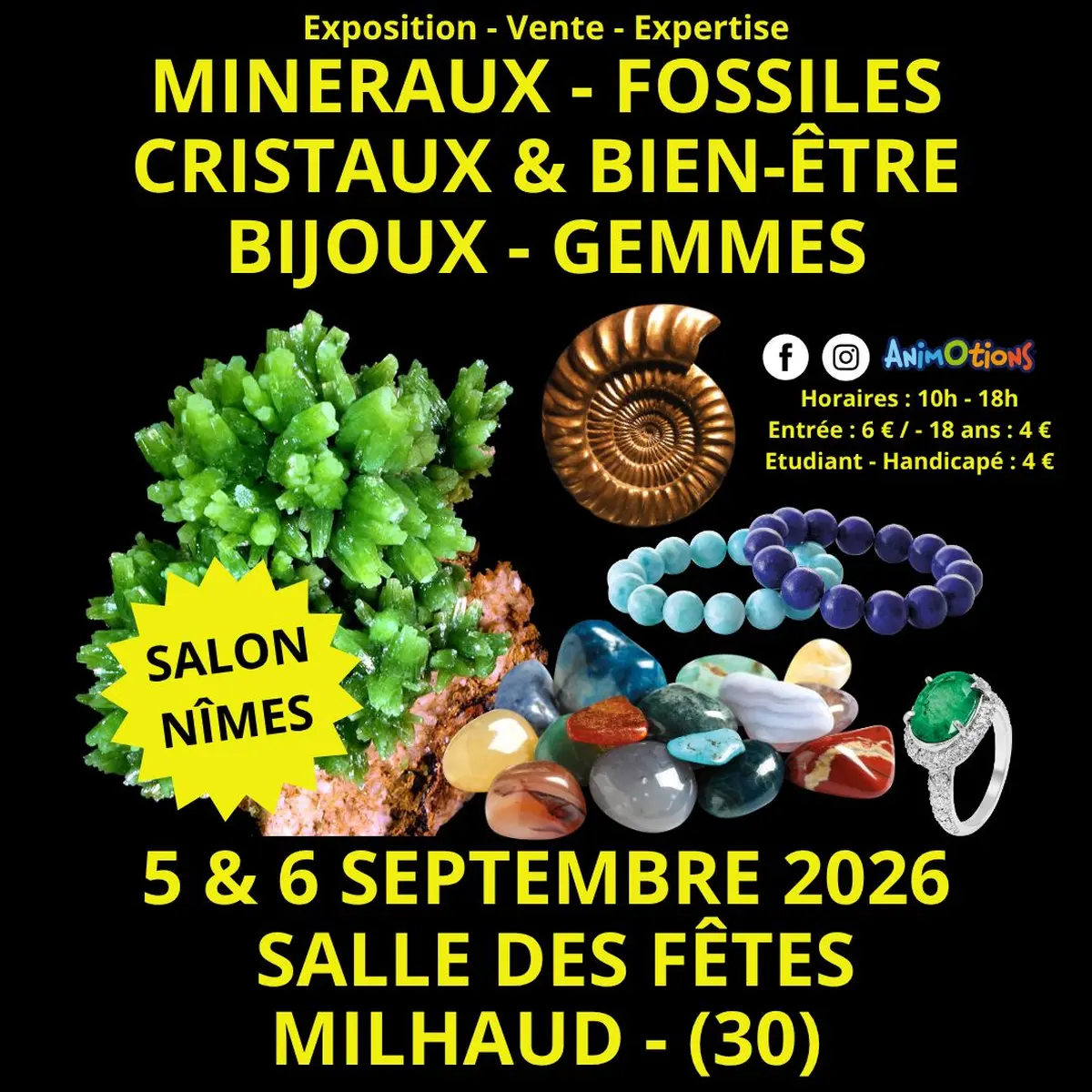 3&egrave;me Salon Min&eacute;raux Fossiles Cristaux & Bien-&Ecirc;tre Bijoux et Gemmes de N&icirc;mes