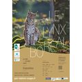 Sur la piste du Lynx