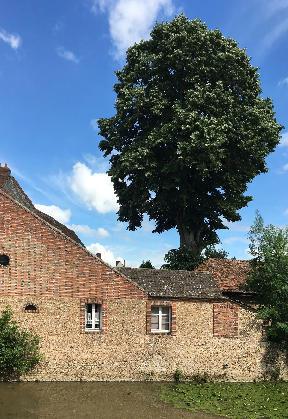 Festival Maison Pont