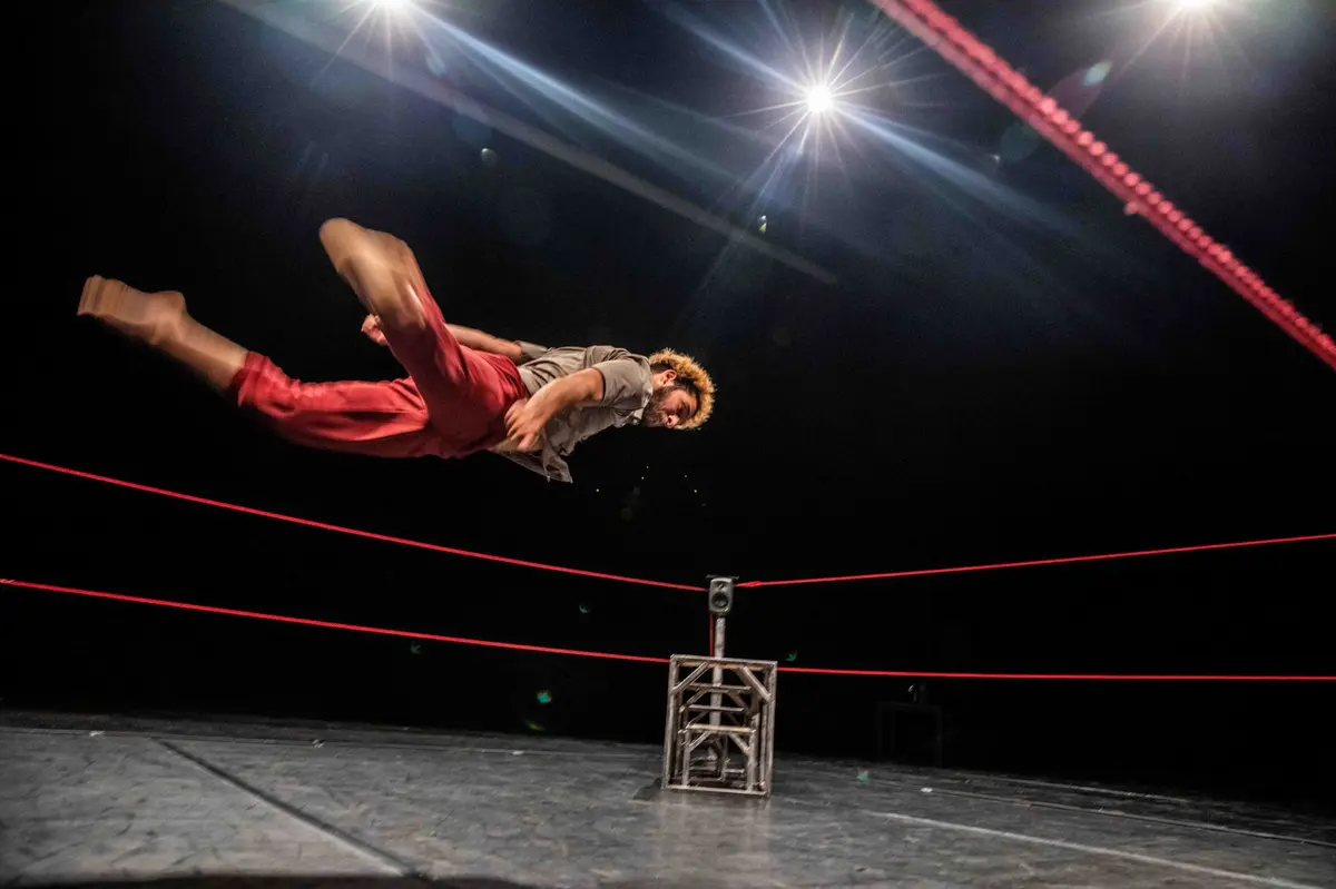 Festival Compli'cit&eacute; - Le bestiaire