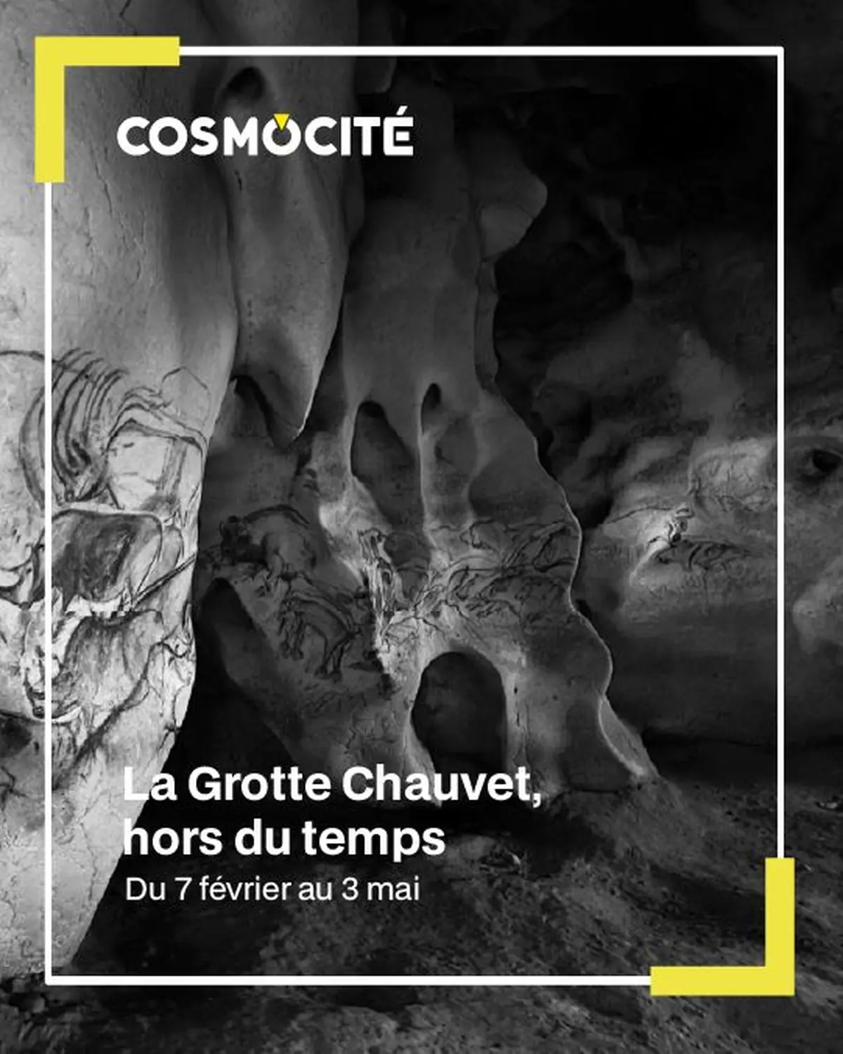 La grotte Chauvet - hors du temps