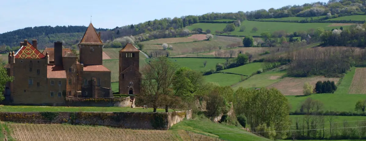 Marche gourmande : vins et gourmands en promenade