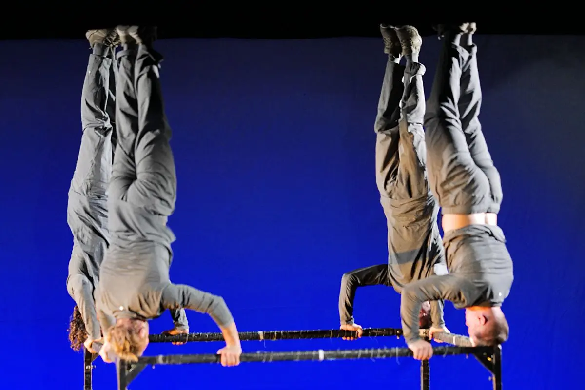 Festival Compli'cit&eacute; - Ga&iuml;a 2.0