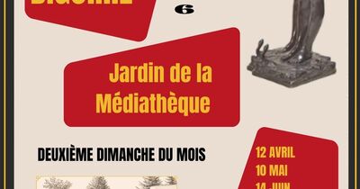 Brocante de la m&eacute;diath&egrave;que 