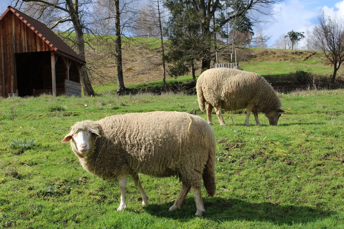 Programme des animations : Nos habits, notre histoire