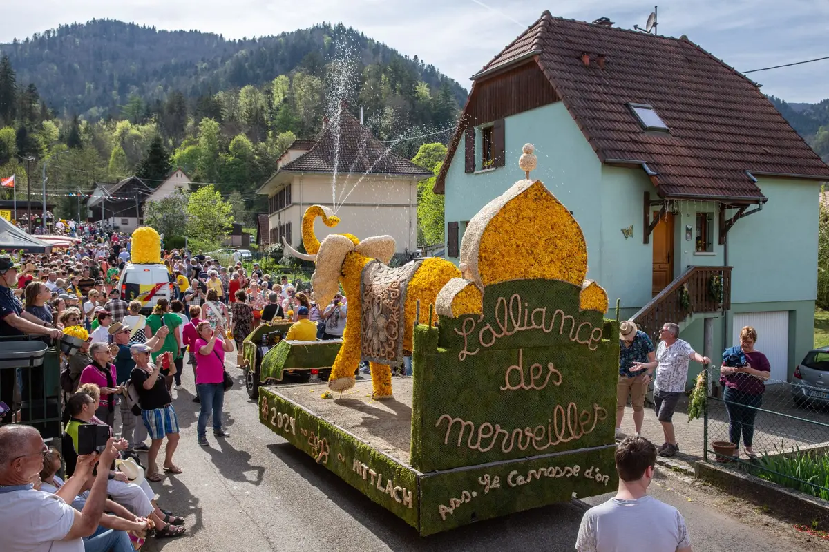 F&ecirc;te des Jonquilles - Mittlach