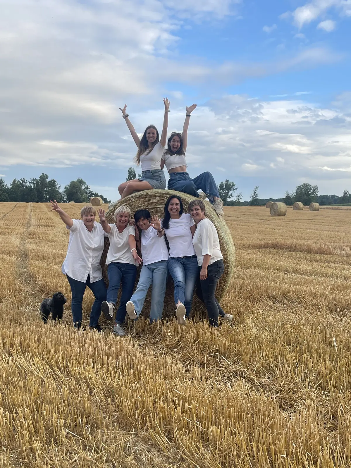 Remue M&eacute;ninges