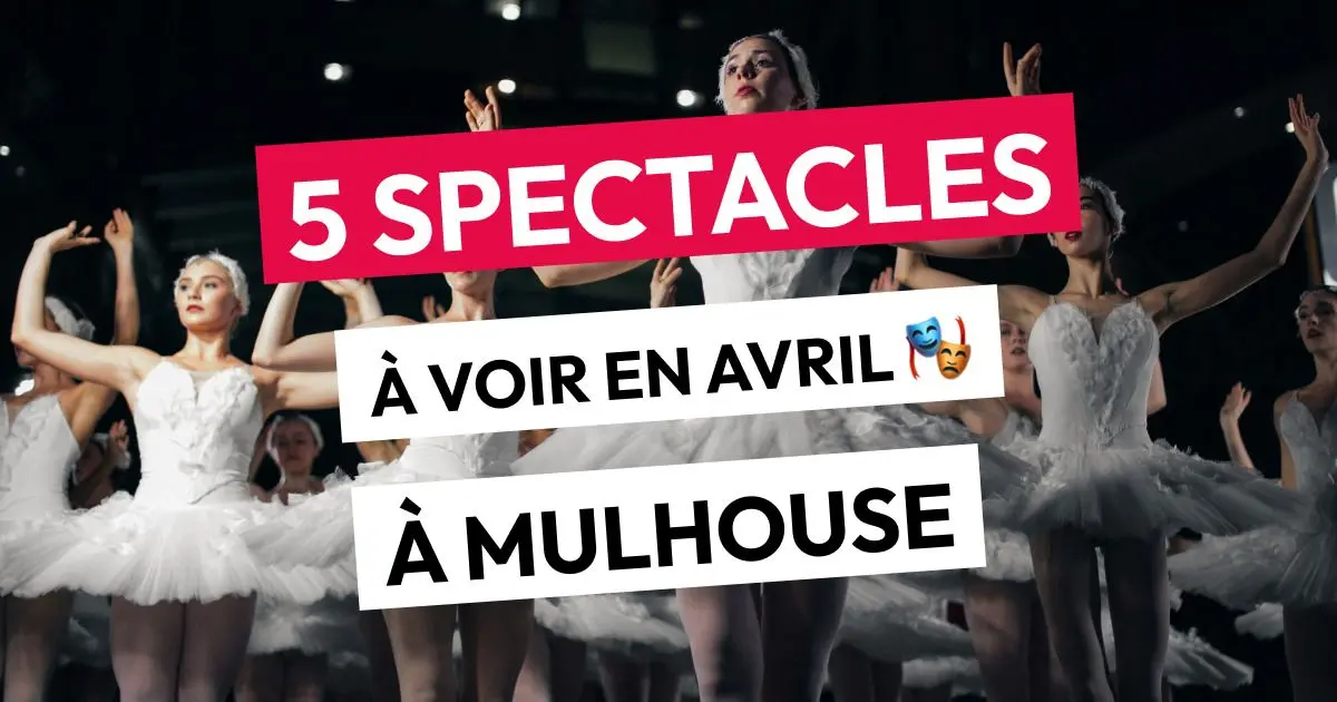 Une sélection de spectacles à ne pas manquer à Mulhouse en avril 2025