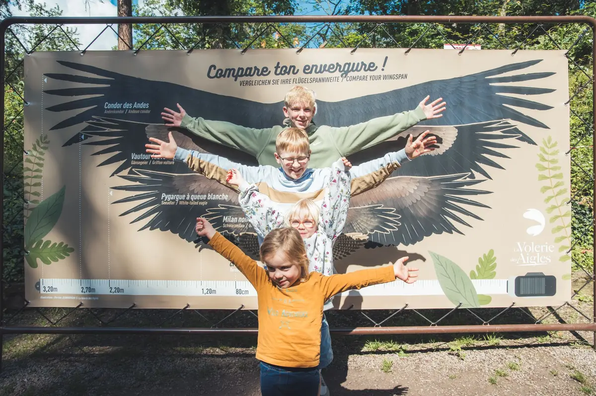 Comparez les envergures des rapaces avec la vôtre 