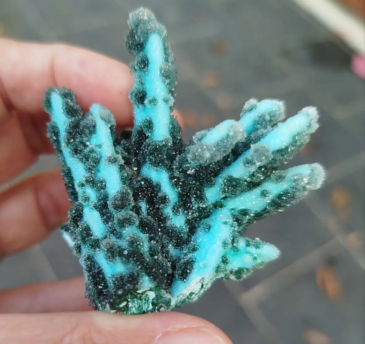 Salon minéraux, fossiles, bijoux de créateur.