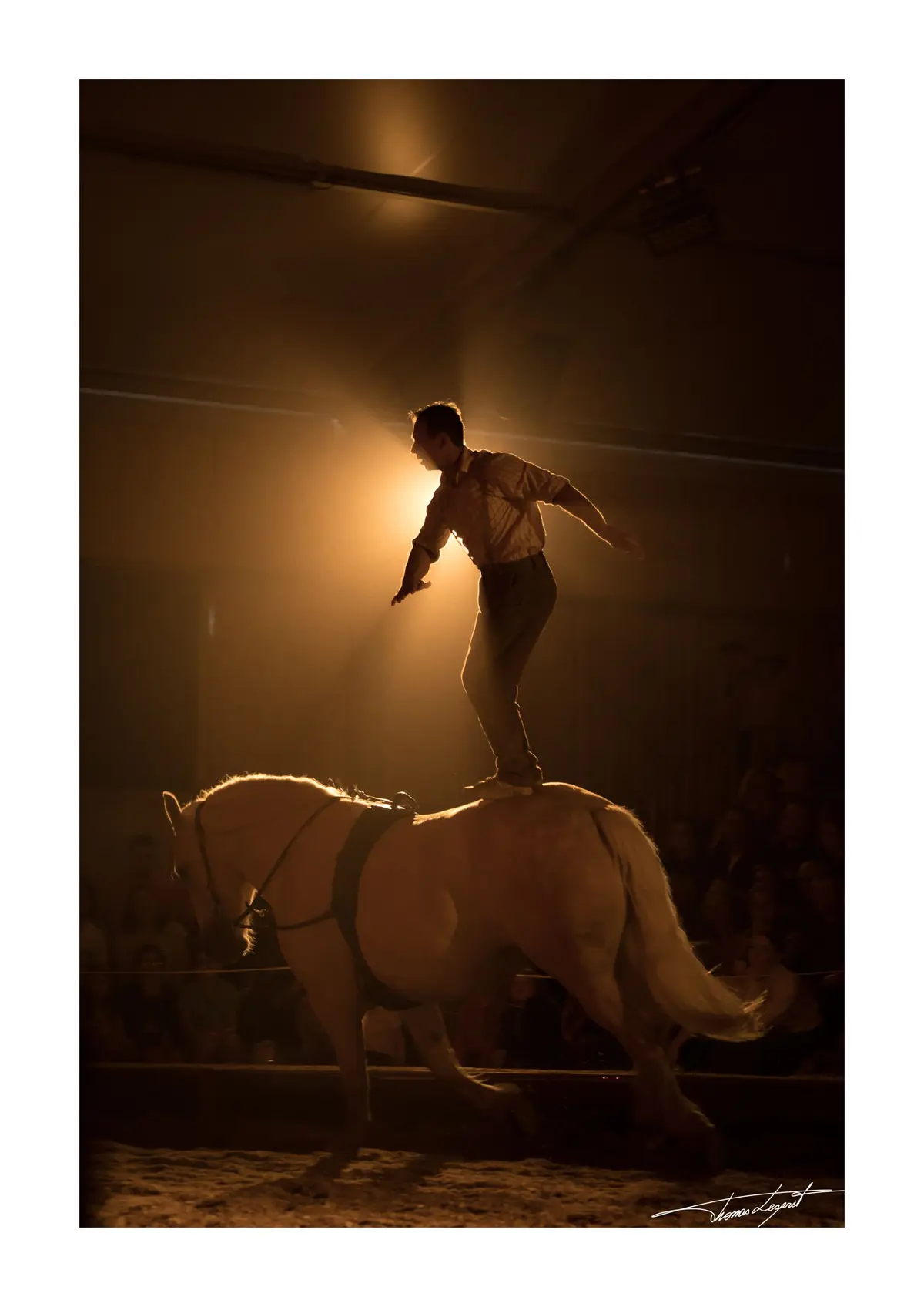 Spectacle &eacute;questre La Serveuse Automate