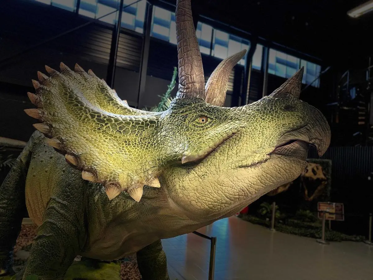 Le Monde des Dinosaures à Orléans