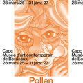 Pollen