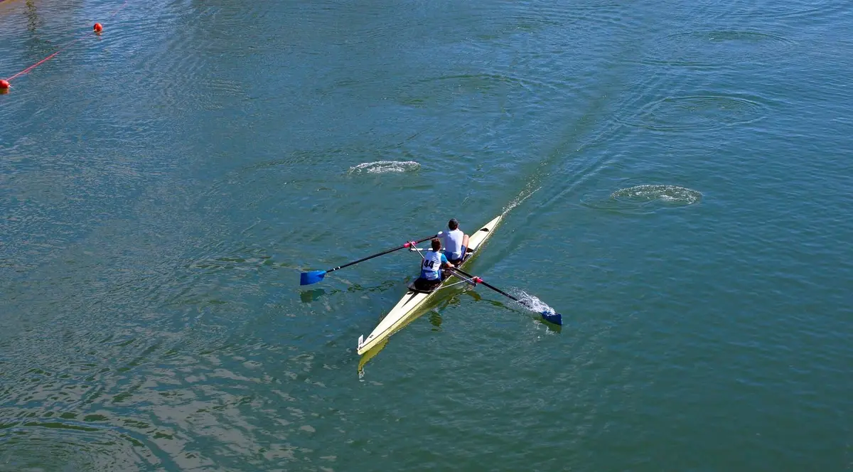 Aviron à Mulhouse