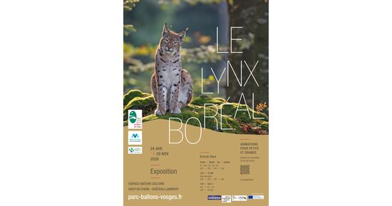 Le Lynx bor&eacute;al