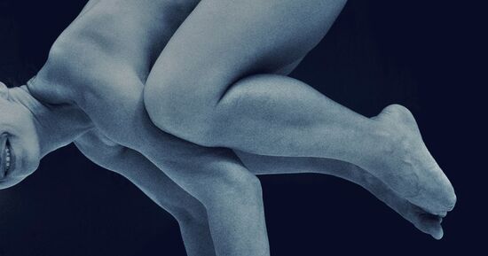 Exposition La Chambre des merveilles