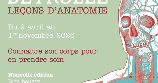 Exposition Le&ccedil;ons d'Anatomie au Ch&acirc;teau de La Bourdaisi&egrave;re &agrave; Montlouis-sur-Loire