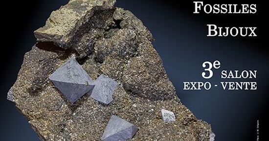 3e SALON Min&eacute;raux Fossiles Bijoux de Dax (Landes)