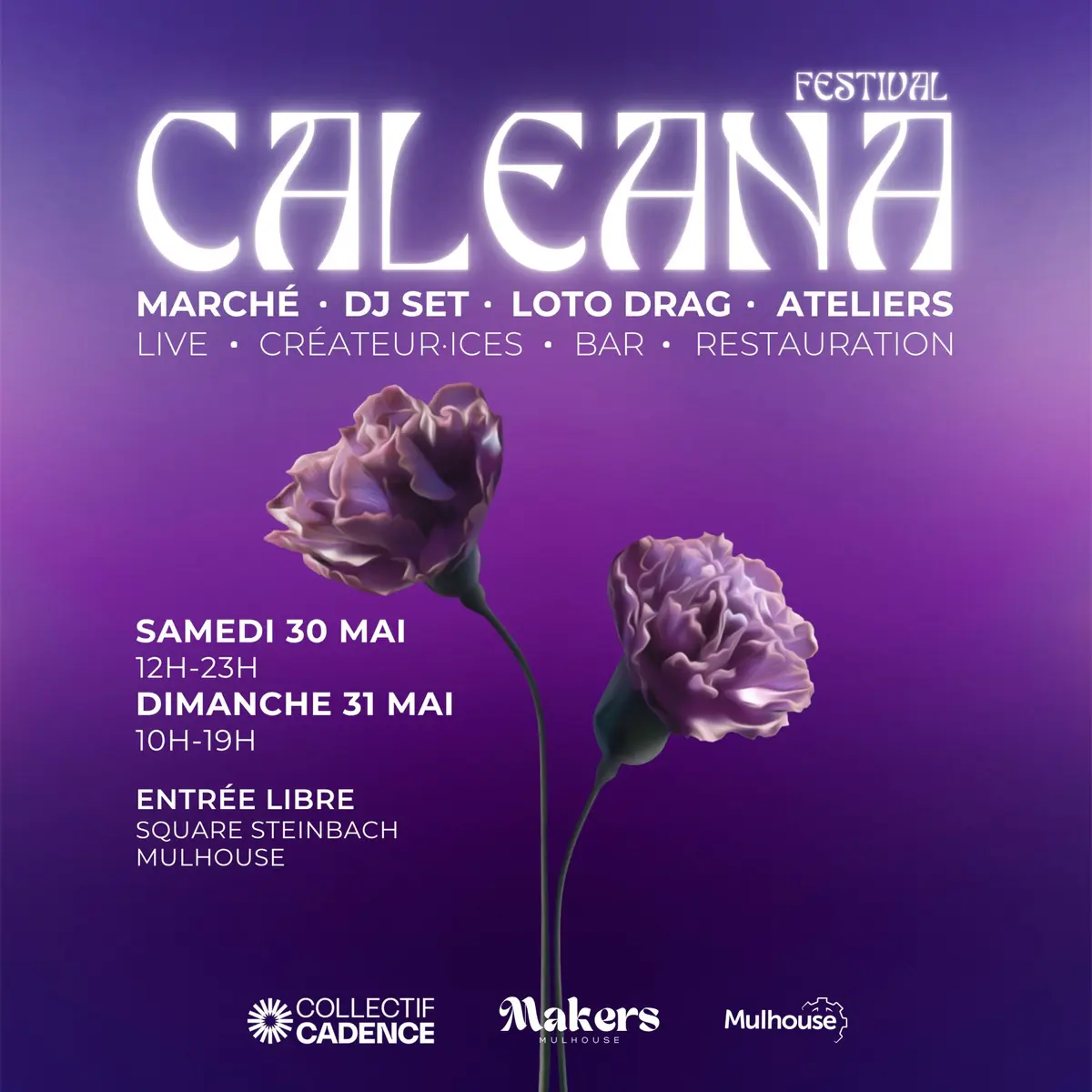 CALEANA Festival 2026 - Collectif Cadence X Makers Mulhouse