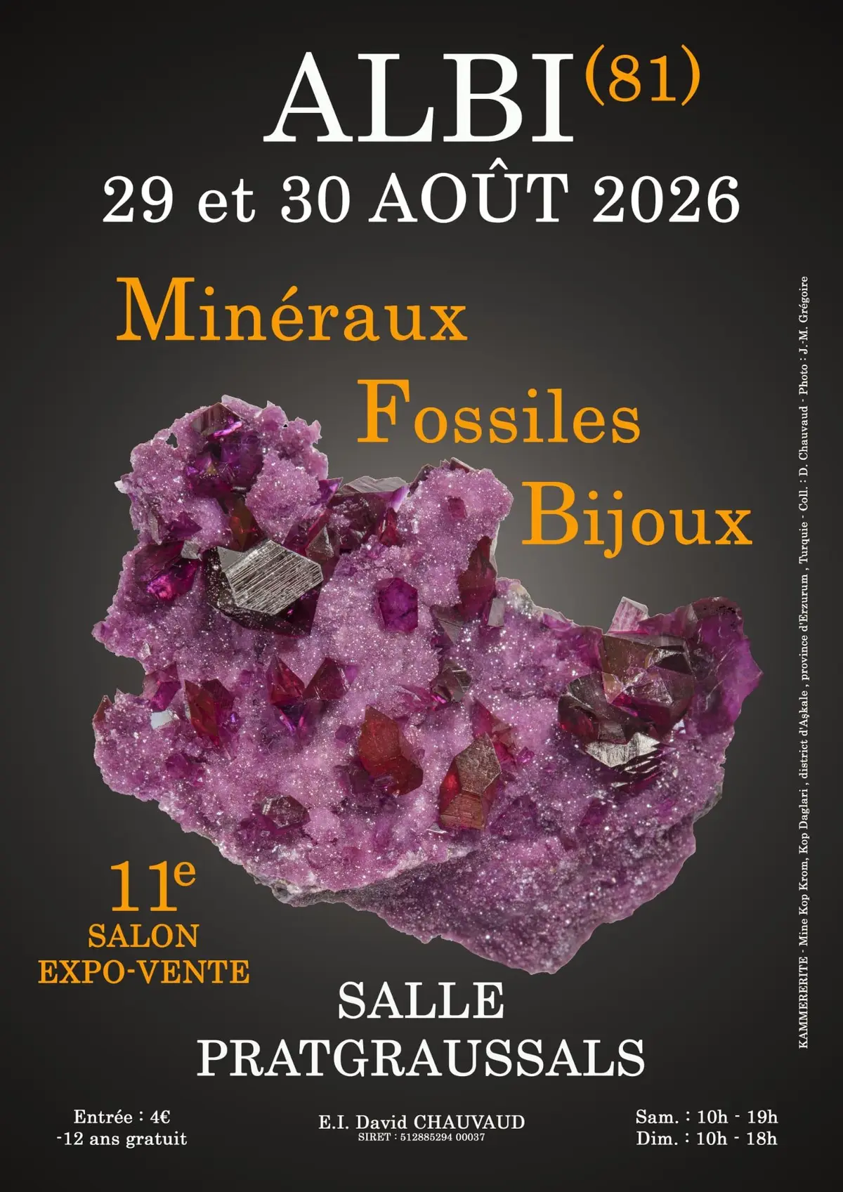 11e SALON Minéraux Fossiles Bijoux d'ALBI (Tarn)