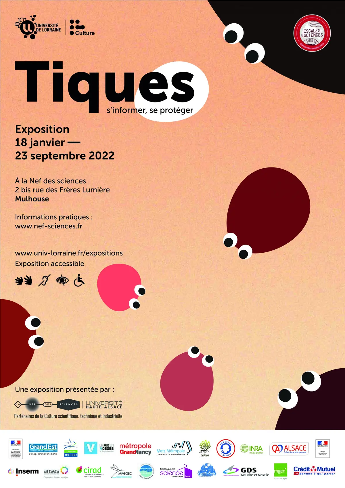 Tiques, s'informer, se protéger