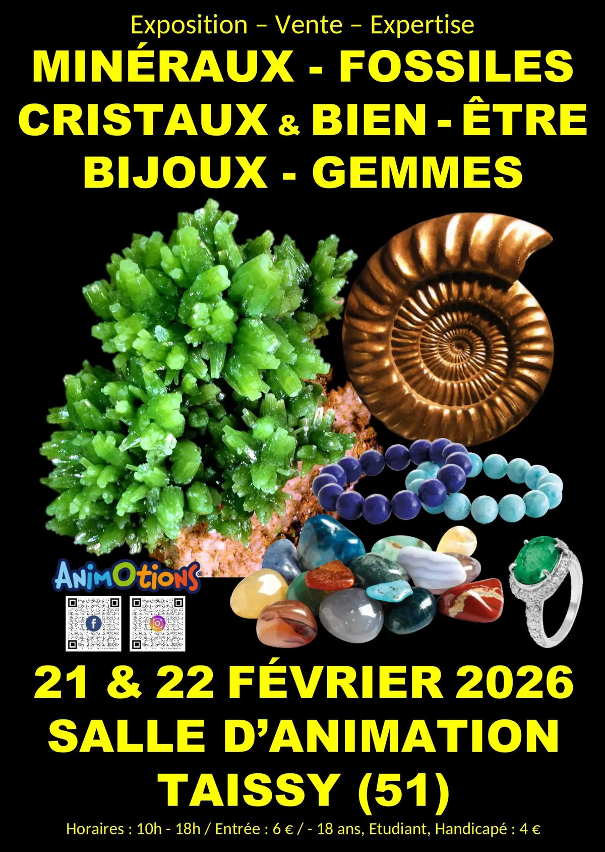 Salon Min&eacute;raux Fossiles Gemmes M&eacute;t&eacute;orites Cristaux  et Bijoux de Cr&eacute;ateurs