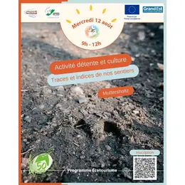 Traces et indices de nos sentiers