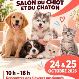 Où aller à Béziers ce week-end du 23 au 25 octobre 2026 ? 7 idées sorties