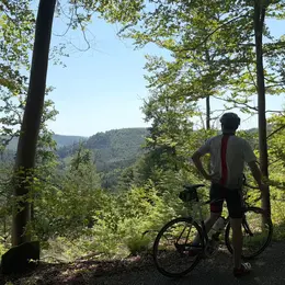 Col'Attitude : la montée du Loosthal à Neuwiller-lès-Saverne à vélo