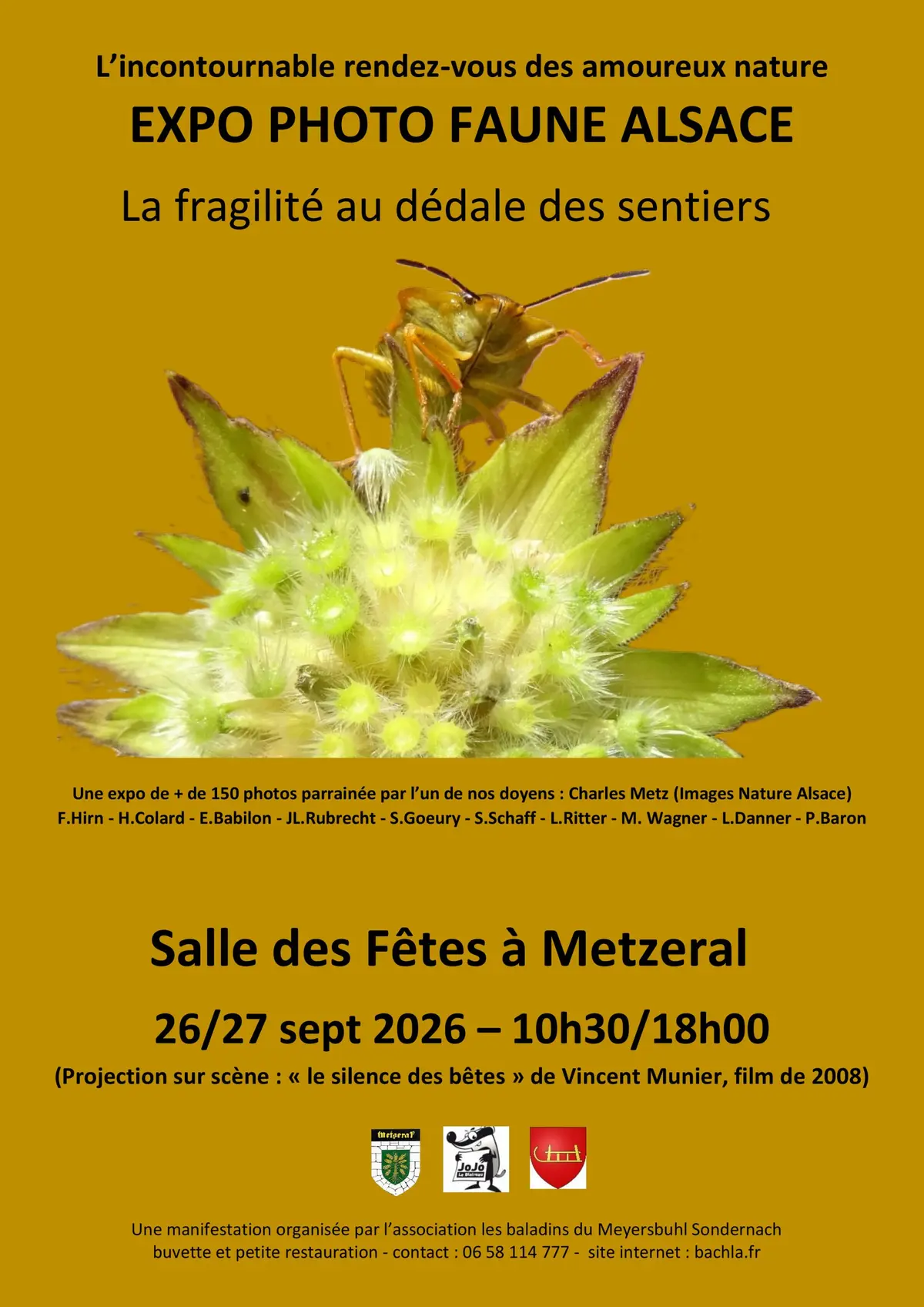 Expo Photos Faune Alsace