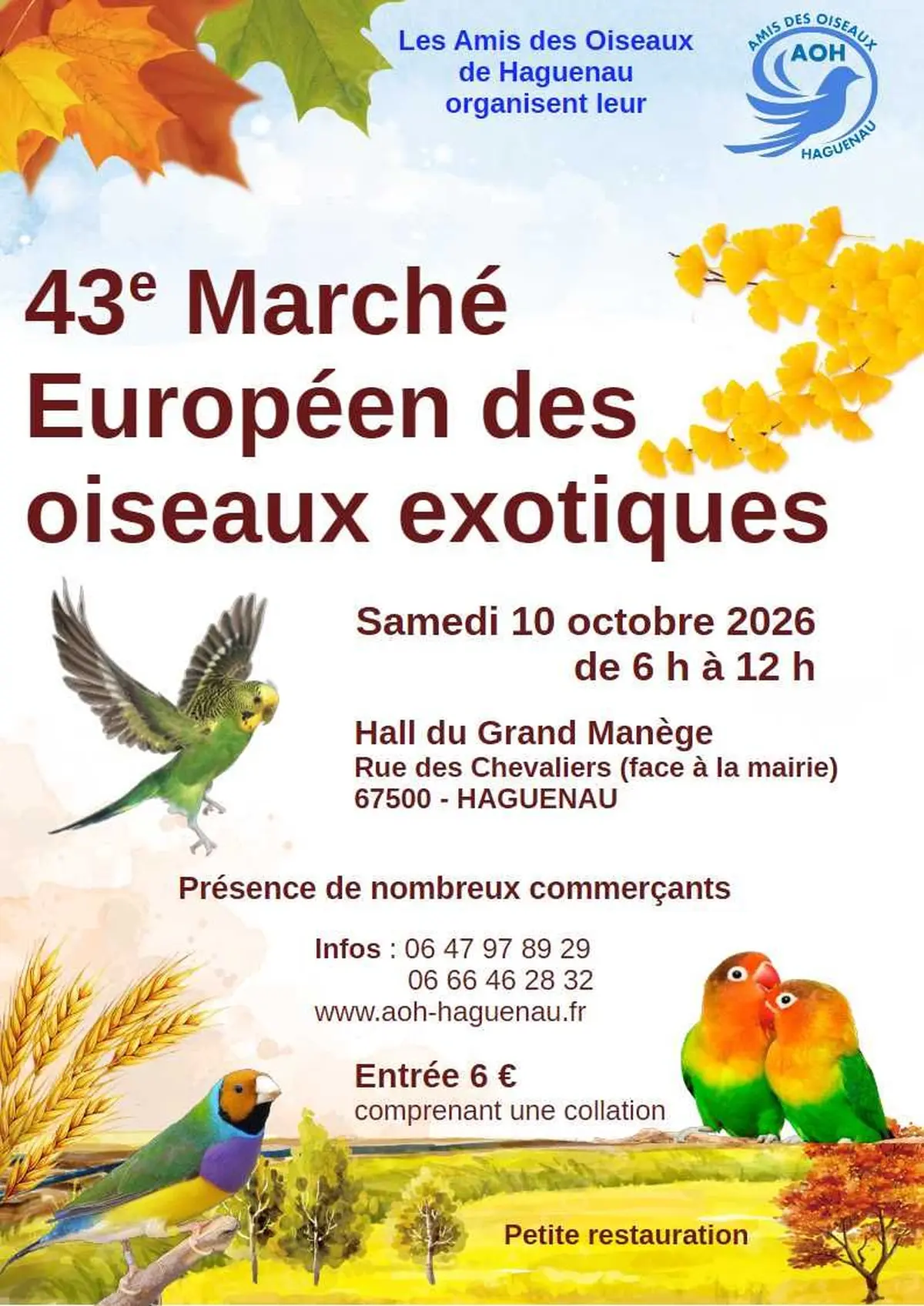 43e marché européen des oiseaux exotiques