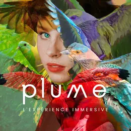 PLUME - l'expérience immersive