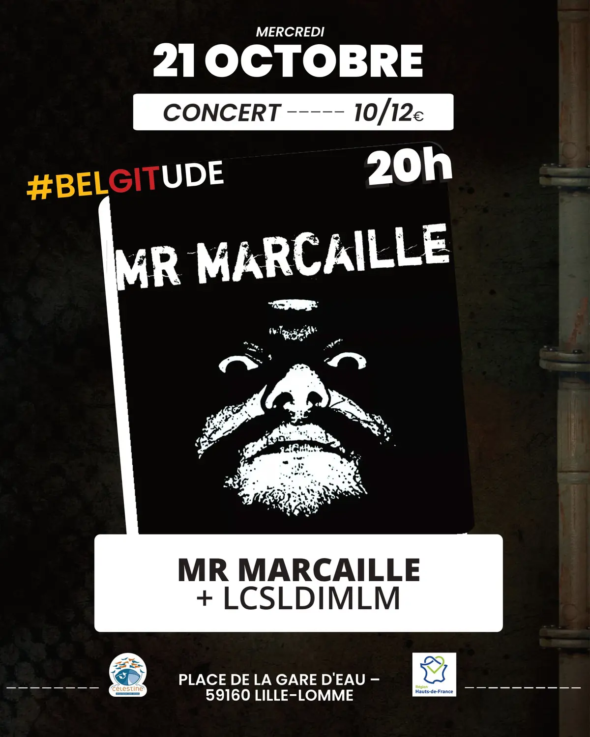 Concert - Mr Marcaille + LCSLDIMLM