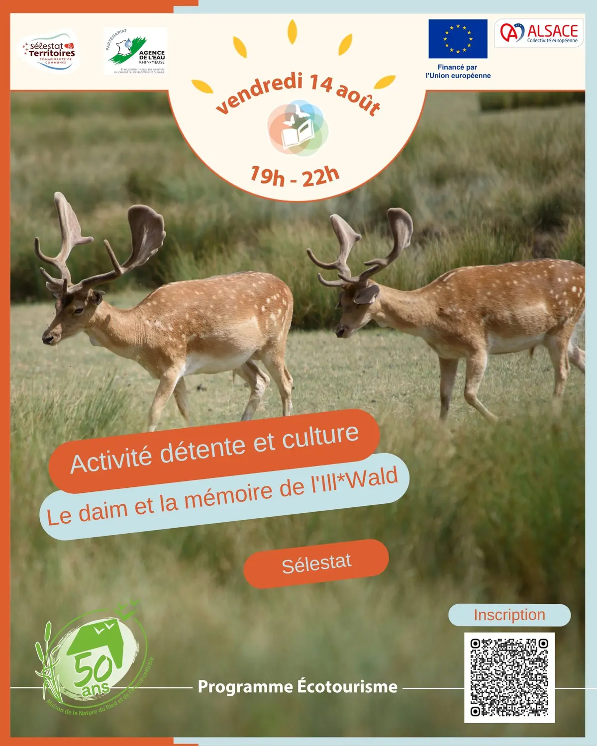 Le daim et la mémoire de l'Ill*Wald