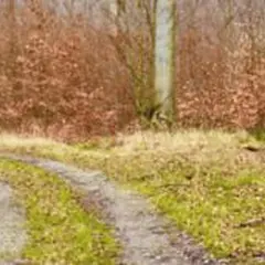 Journées du Patrimoine : Randonnée : Histoire de la forêt de Bonnefontaine