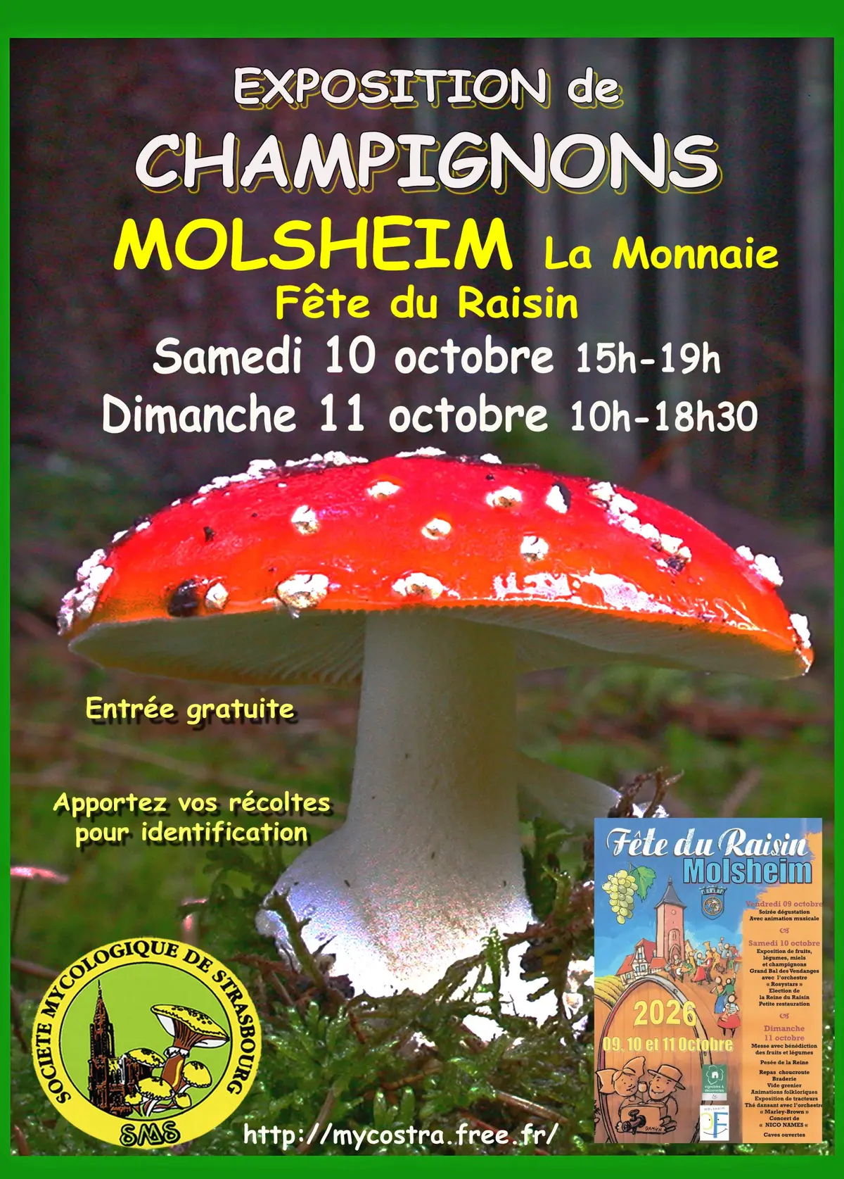 Exposition de champignons